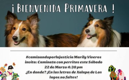 ¡Bienvenida Primavera!